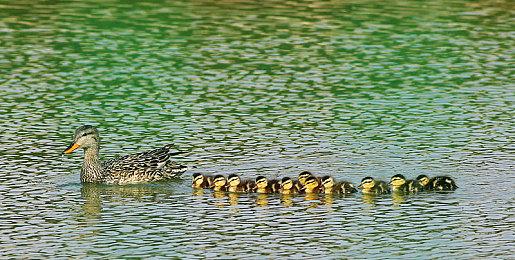 《失落之魂》官方公布今后改进计划：音效、手柄、优化